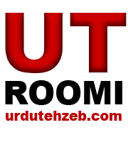 Roomi