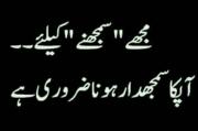 singer_zuhaib